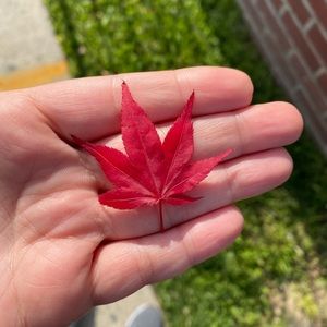 Meet your Posher, Zahra